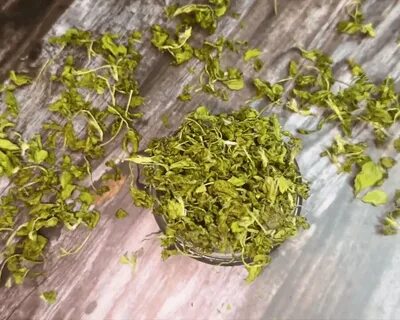 تصویر 3 از خرید عمده شنبلیله خشک جعبه‌ای بالسی – کیفیت صادراتی تضمینی